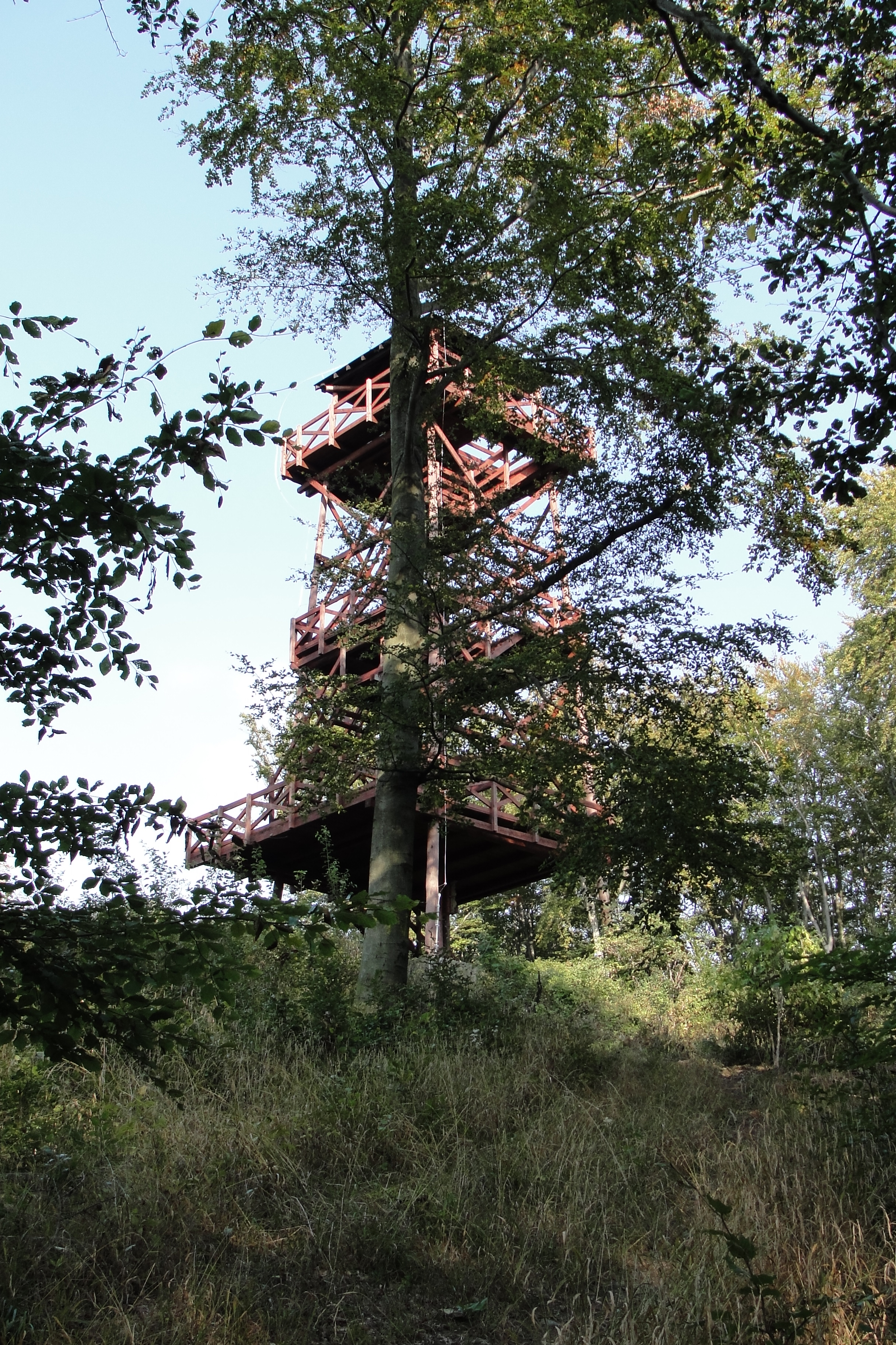 Wieża widokowa na Wapniarce, Autor: M. Biernat 27.09.2011r.