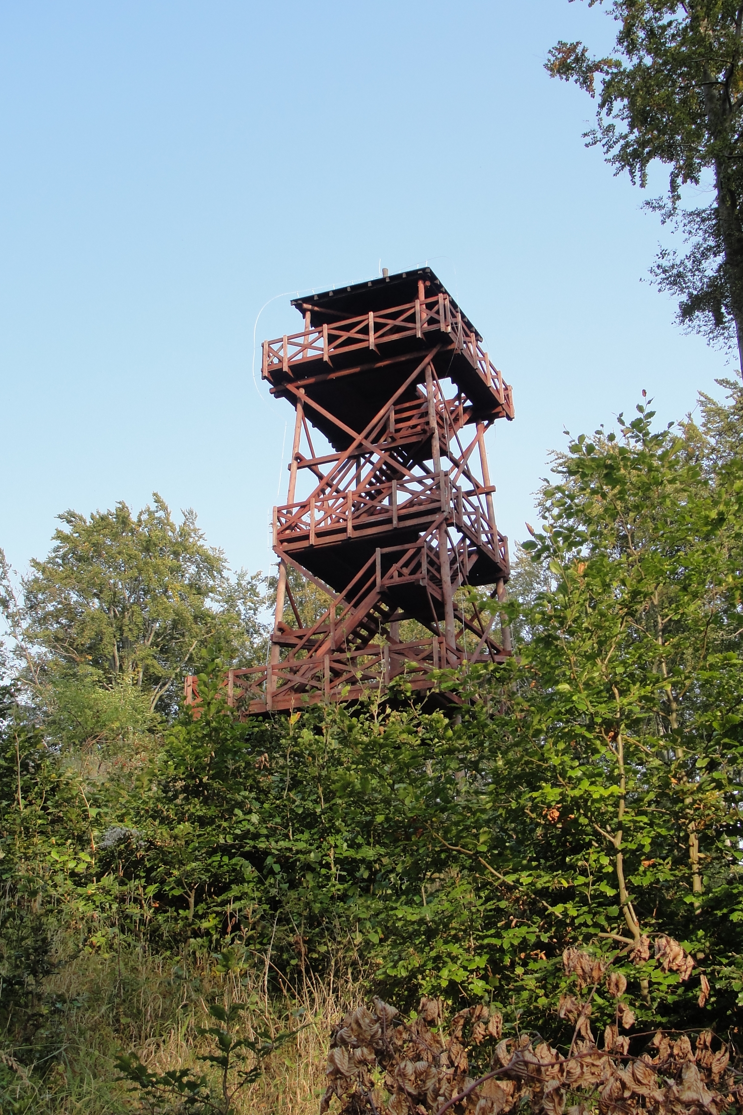 Wieża widokowa na Wapniarce, Autor: M. Biernat 27.09.2011r.