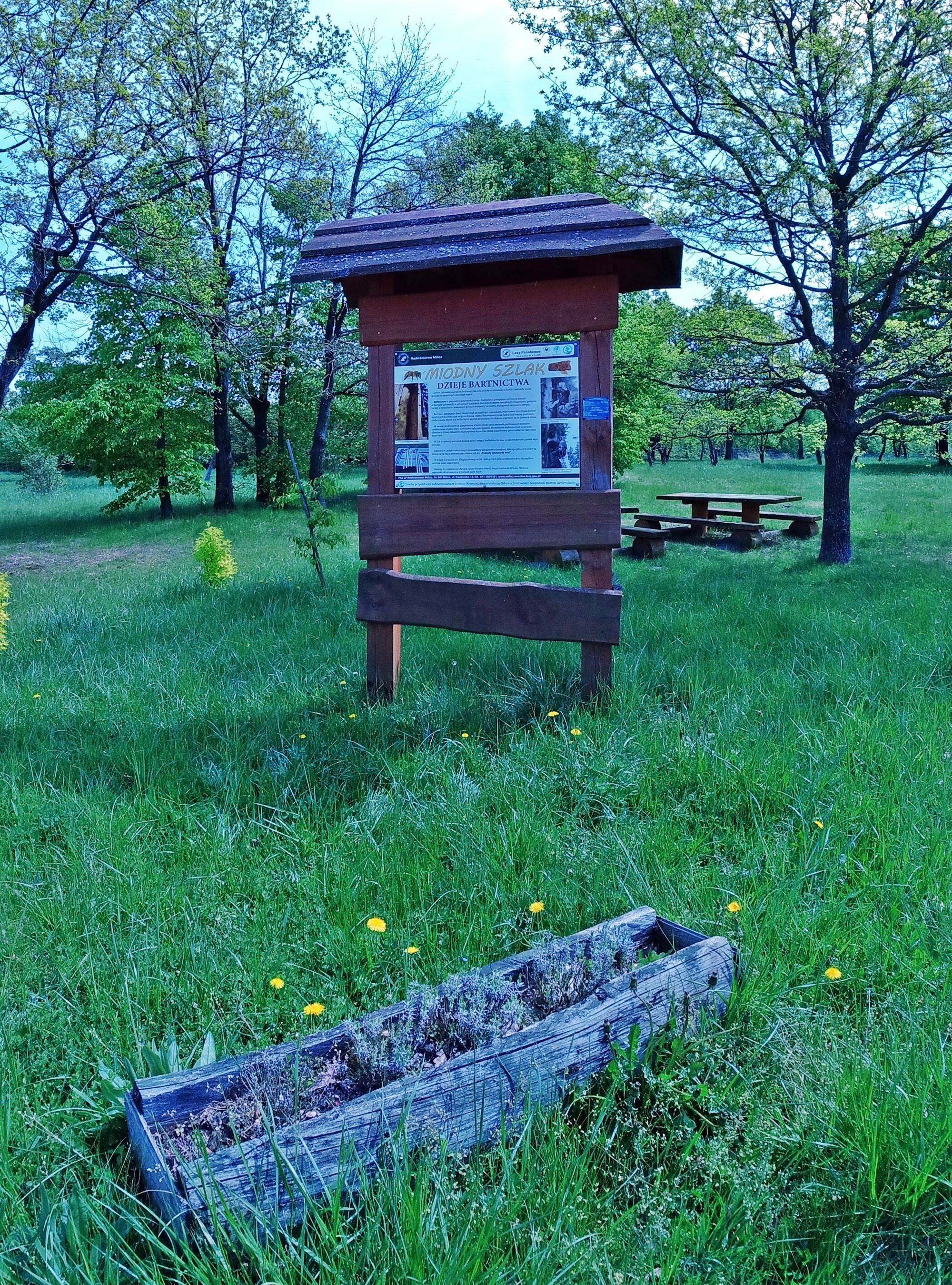 DCIM103MEDIADJI_0062.JPG